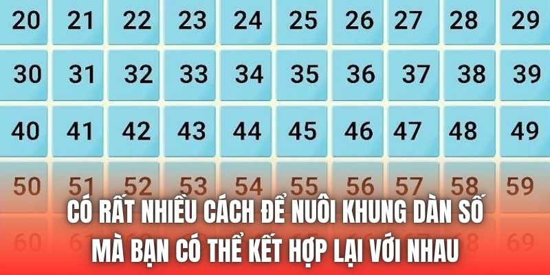 Có rất nhiều cách để nuôi khung dàn số mà bạn có thể kết hợp lại với nhau