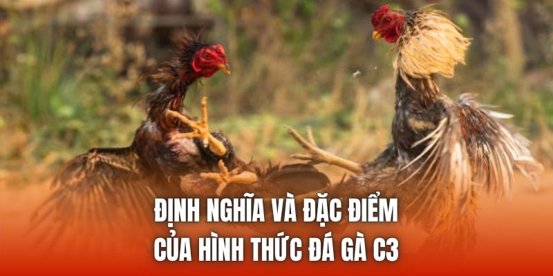 Định nghĩa và đặc điểm của hình thức đá gà C3