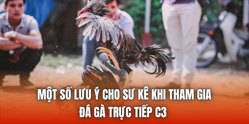 Một số lưu ý cho sư kê khi tham gia đá gà trực tiếp C3