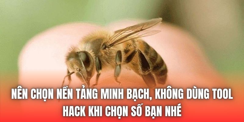 Nên chọn nền tảng minh bạch, không dùng tool hack khi chọn số bạn nhé
