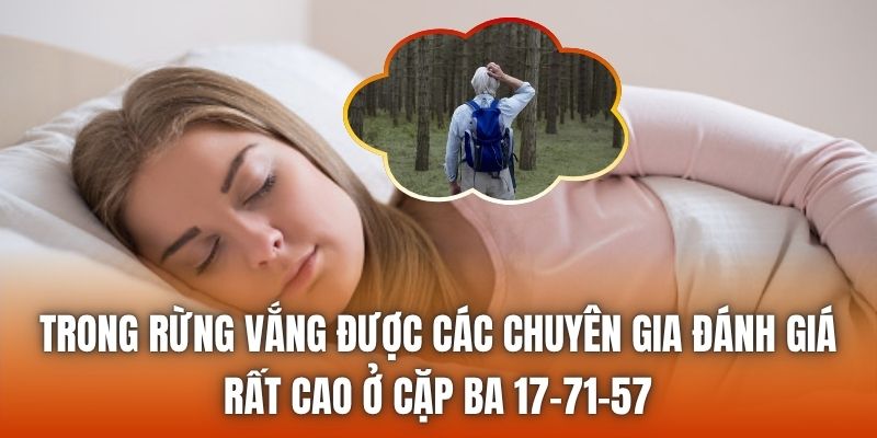 Trong rừng vắng được các chuyên gia đánh giá rất cao ở cặp ba 17-71-57