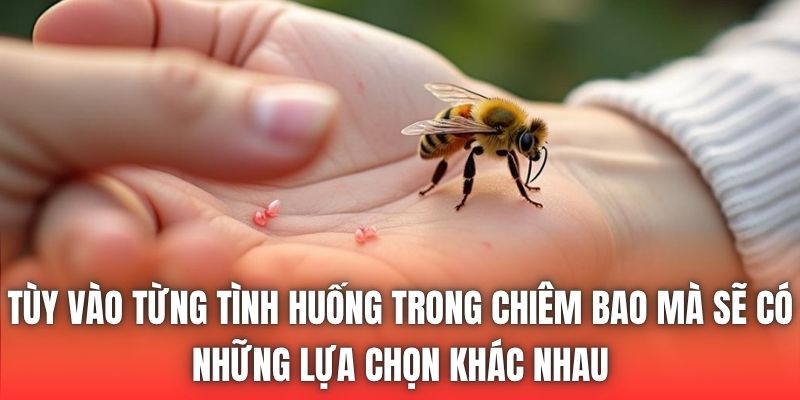 Tùy vào từng tình huống trong chiêm bao mà sẽ có những lựa chọn khác nhau